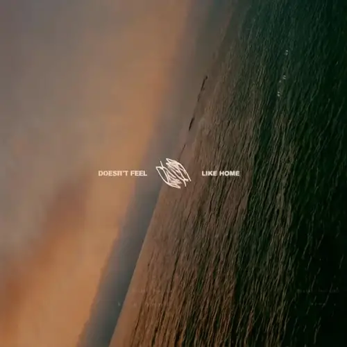 Limbs (USA-2) : Doesn't Feel Like Home